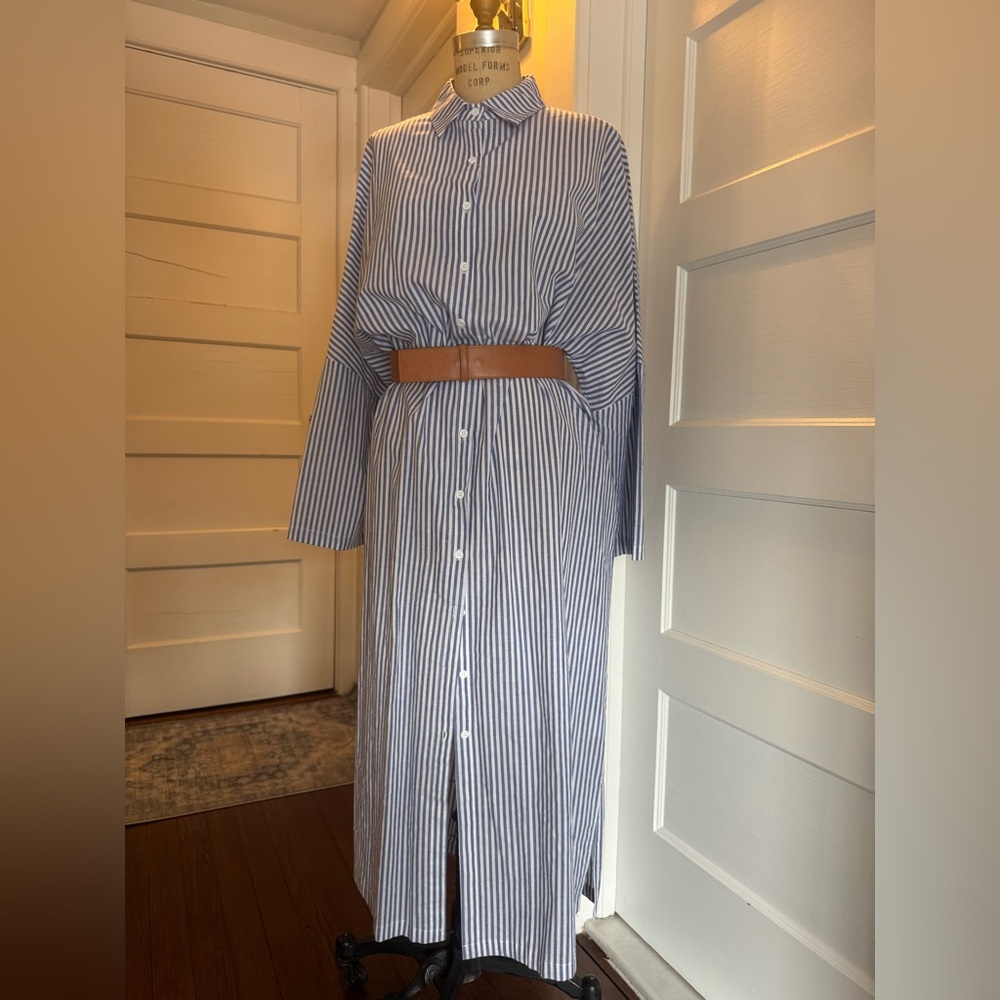 NWT Striped Blue and White Shirt Dress